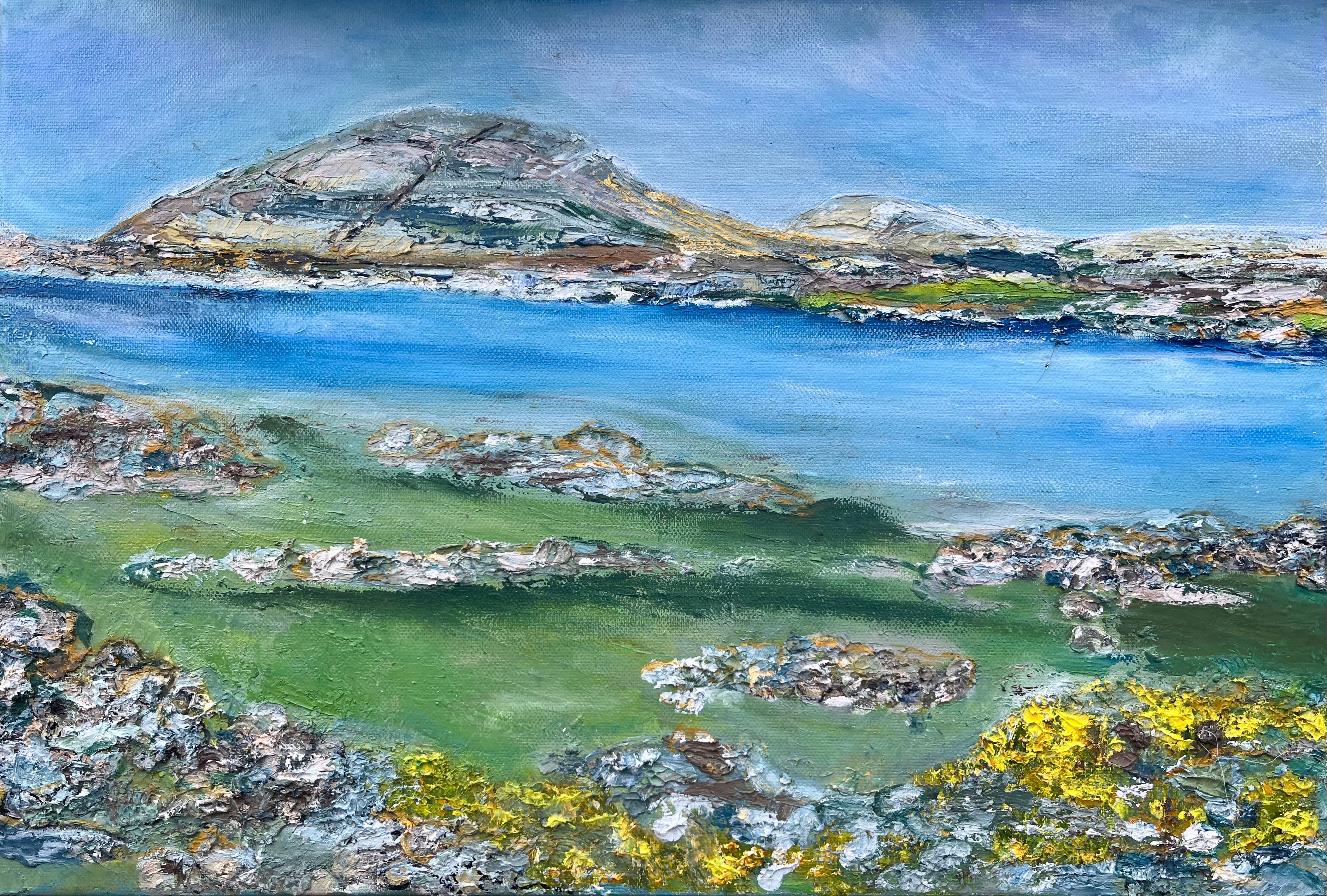 Burren in Spring