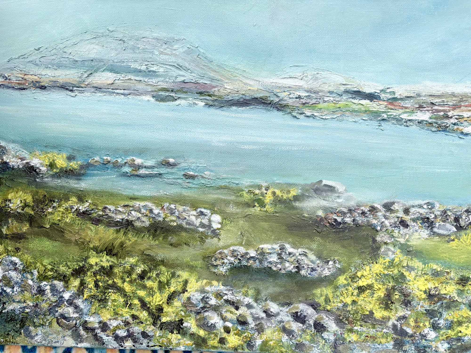 Burren in Spring